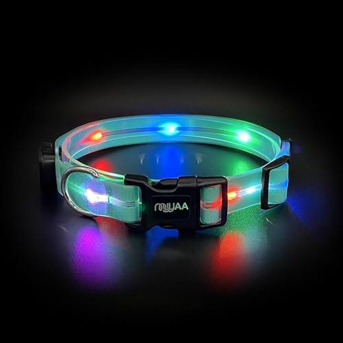 Light up Dog Collars,Led Dog Collar Rechargeable,Glow in Dark Dog Lights for Walking at Night for Dogs (Blue), One Size