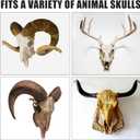 2 x 2 PCS Medium Hooker Trophy Mount | 5-Level Angle Adjustment | Concealed Screw Mounting | Screws Included