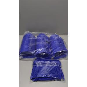 Blue Plastic Dishes and Spoons 