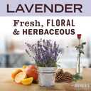 MRS. MEYER'S CLEAN DAY Liquid Laundry Detergent, Cruelty Free, Lavender Scent, 64 oz- Pack of 2