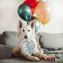 CROWNED BEAUTY Birthday Dog Bandanas Reversible Large 2 Pack, Happy Birthday Set, Adjustable Triangle Holiday Blue Scarves for Medium Large Extra Large Dogs Girl Boy Pets DB50-L