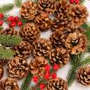 24PCS Christmas Natural Pine Cones,Rustic Pinecones with String for Crafts & Decorating Winter Xmax Holidays Vase and Table Bowl Fillers(Dia. 1.57-1.96 Inches)