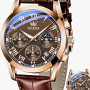 OLEVS Men's Chronograph Quartz Watches, Leather Strap Gold Case with Day Date, Waterproof Stainless Steel Wrist Watch, Luminous Hand Analog Watches for Men, Brown/Black/Blue/White Dial