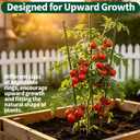 Large Tomato Cages, 24 Inch Tomato Cages for Garden, Plant Support Cages for Tomatoes, Potted Indoor Outdoor Plants, Flower Vine Climbing Plant Tomatoes Trellis, 2 Packs