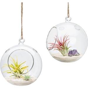 Mkono 2 Packs 6-Inch Round Hanging Glass Planter Air Plant Terrarium Globe for Succulent, Tillandsia, Gifts for Plant Lovers Thanksgiving Christmas Home Decor (Plant Not Included)
