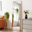 Sweetcrispy 56"x15" Full Length Mirror, Standing Full Body Mirror, Gold