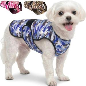 Dog Cooling Vest - 2-Layer Cooling with Soft Microfiber Fabric - Lightweight, Adjustable and Comfortable - UV Protection for Small to Large Dogs - Relief in Hot Weather (Blue, X-Small)