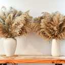 44pcs Pampas Grass Decor-Natural Dried Pampas Grass,Fluffy Brown Pompas Grass,Short Fluffy Pampas Grass Bulk for Small Boho vases,Wedding Flower,Boho Home Decor,Living Room Table Decor(17inch)