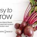 3 x Gardeners Basics, Beet Seeds for Planting Detroit Dark Red 100 Heirloom Non-GMO Beets Plant Seeds for Home Garden Vegetables Makes a Great Gift for Gardeners