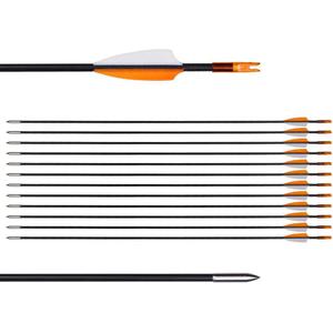 31" Training Arrows-Archery Practice Target Arrows for Youth or Beginners