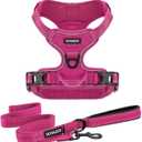 Voyager Dog Harness Dual Leash Attachment No-Pull Control Adjustable Soft but Strong Pet Harness for Medium and Large Dogs with 3M Reflective Technology, Leash Set Fuchsia Nylon, L (Chest: 25-30")
