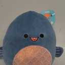 Squishmallows Original 8-Inch Kurtz Grey Teal Piranha - Official Jazwares Plush (Little)