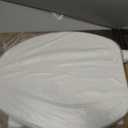 Bemis 170 Durable Plastic Toilet Seat, Elongated, White
