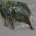 Apexom 64 PCS Artificial Greenery Stems, Silver Dollar Eucalyptus Stems with 384 Eucalyptus Leaves White Seed Branches for Flower Arrangements, Wedding Bouquets