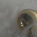 3/4" Push to Connect Ball Valve, Brass Plumbing Fitting for Copper, CPVC, PEX Pipes, With Upgraded Stiffener, Disconnect Clip Included, NSF & UPC Certified, Lead-Free, 2 Pack