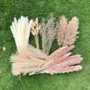 100Pcs Pampas Grass Boho Home Decor 17 inch Natural Dried Flowers-Pampas Grass Contains Bunny Tails White Pampas Brown Pampas.Boho Decor for Farmhouse Wedding Boho Wall Bathroom Office Kitchen