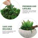 2 x DECHOUS Fake Moss: Artificial Preserved Moss for Plants Bonsai Crafts Fausse Mousse for Terrarium Plant Pot (About 20G)