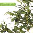 FEELEAD Olive Tree Artificial Indoor 6ft with Planter for Living Room Decor | Faux Olive Tree 6 Feet with Textured Trunk & Realistic Leaves, Tall Fake Olive Tree with Pot for Home Decor, Weighted Base