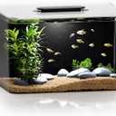 Betta Fish Tank, 2.5 Gallon Aquarium Kit with Filter, Light, Self Cleaning, Oxygenation, Small All in One Starter Fish Tank for Goldfish, Guppy, Shrimp, Desktop, Acrylic
