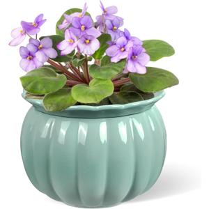 African Violet Pots, 6 inch Pumpkin-Style Ceramic Easy Self Watering Plant Pot for Busy Plant Lovers, Automatically Absorb Appropriate Amount of Water, Flower Pot Indoor-Plants Not Included