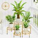 5 Pack Small Potted Plant Stands, Metal Plant Stand for Outdoor Indoor Plants, Heavy Duty Flower Pot Stands for Multiple Plants, Decoration Display Racks for Patio Garden (Gold, S)