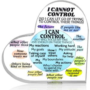 Ewong Things I Can Control Mental Health Decor, Acrylic Heart Sign for Therapist Office, School Counselor, Psychologist Room Art Decoration, Therapy Desk Plaque for Bedroom Classroom (Blue)