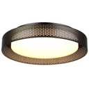 Dsyan HOME 13inch Rustic Flush Mount Ceiling Light Fixture,Black Cage Led Close to Ceiling Light, 24W Minimalist Dimmable 5CCT 3000-6000K Ceiling Lamp,for Bedroom,Kitchen, Laundry,Hallway
