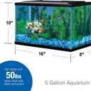 Tetra Glass Aquarium 5.5 Gallons, Rectangular Fish Tank
