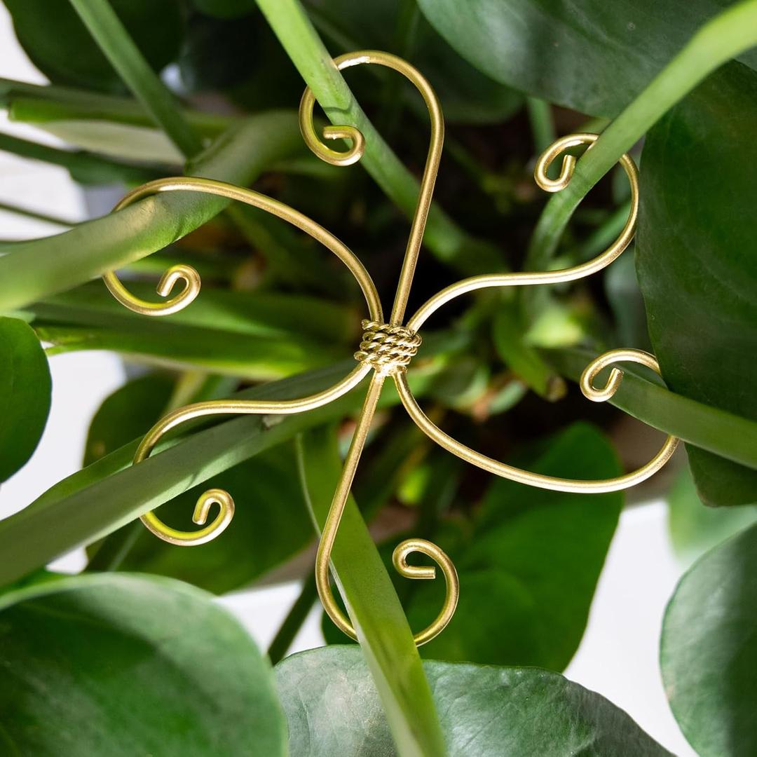 Yohsnor 6.5IN Monstera Plant Support Hook 5PCS Durable Stem Stabilizer for Indoor Plants | Easy Setup 5-Piece Set Ideal for Turtle Shell Leaf Support Ideal Present for Plant Lovers & Home Garden Dcor