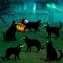 6 Pcs Black Cat Halloween Decorations Plastic Yard Signs with Stakes, Halloween Decorations Outdoor, Scary Silhouette with Glow in Dark Eyes for Outdoor Yard Lawn Garden Halloween Dcor