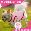 4 x 4 Pieces Puppy Clothes for Small Dogs Girl Girl Dog Clothes Cute Soft Dog Shirts Female Doggie Shirts Pet Clothing (Medium)