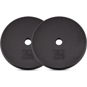 Yes4All Standard 1 Inch Cast Iron Weight Plate - Ideal for Strength Training - 15LB - Pair
