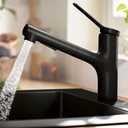 hansgrohe Zesis Black Single-Handle Kitchen Faucet, Kitchen Faucets with Pull Out Sprayer, Faucet for Kitchen Sink, Matte Black 74800671