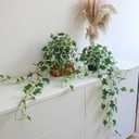 Fake English Ivy Plants in Pots Set of 2 Realistic Artificial Ivy Greenery for Home Decor, Tabletop, Office, Shelf, Balcony, Lifelike Faux Hanging Vines, No Maintenance Required - White and Green