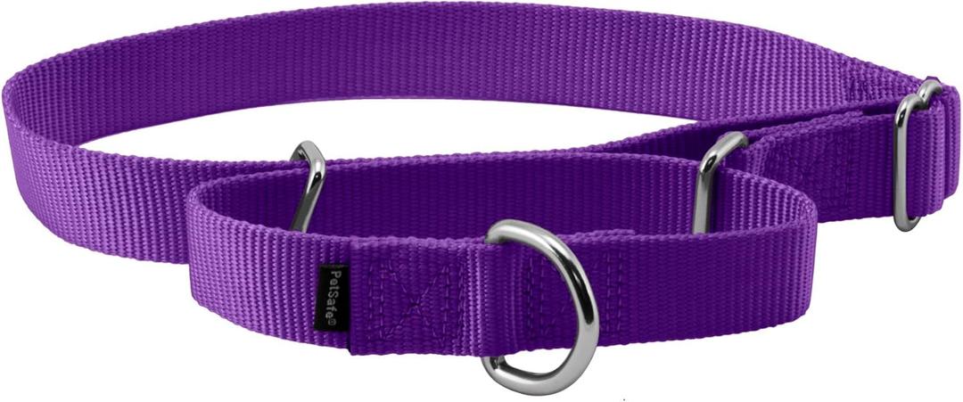PetSafe Martingale Dog Collar Large, 1 Inch, Deep Purple