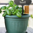 8Pcs. Outdoor T-type Acrylic Plant Markers Garden