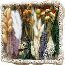 16 Varieties Dried Flowers Set, Mini Natural Dried Flowers Bulk with Stems for Vase Fillers, DIY Crafts, Wreath Making, Rustic Farmhouse Boho Home Decor, Wedding Floral Arrangement Brown Mix