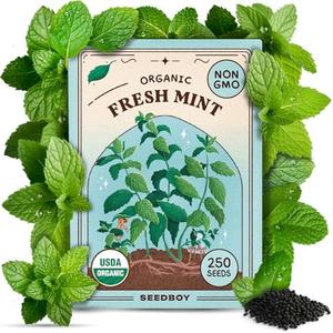 Seedboy Organic Peppermint Seeds for Planting Indoor and Outdoor, Non-GMO and USDA Certified Herb Seed Packet for Hydroponic Garden Indoor or Planting Outdoors (Peppermint) 22 Pack