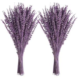 Uieke Dried Lavender Flowers Bundles, 16" Dried Purple Preserved Lavender Stems Bouquet for Shower Weeding Home Fragrance Vase Crafts Decor, 100g(3.52oz)