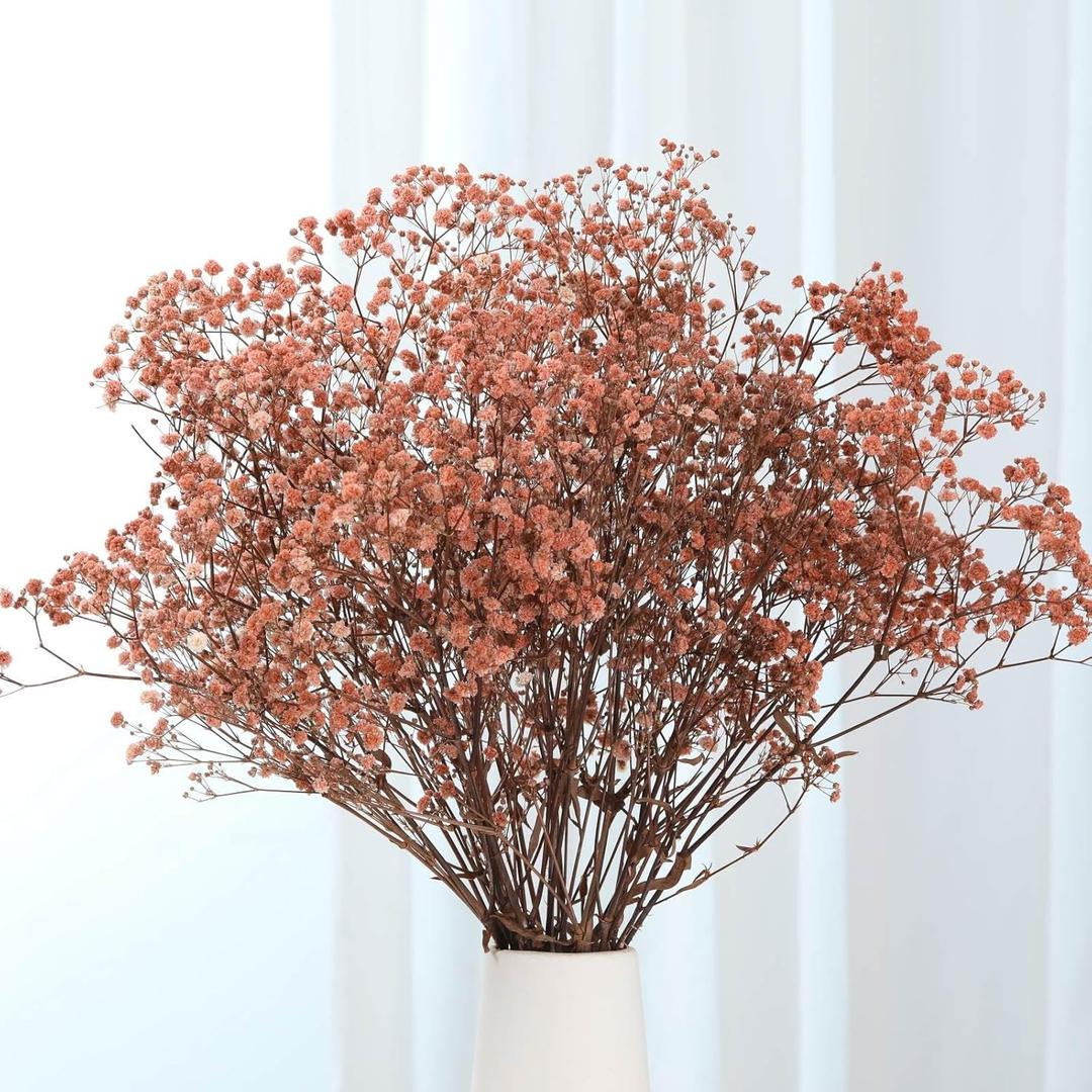 Babys Breath Dried Flowers Bouquet-17'' 2500+ Ivory Dry Flowers, Natural Gypsophila Branches for Wedding, Home Table Vase Decor, DIY Wreath Floral, Fall Thanksgiving Autumn Decoration (Brown, 3oz)