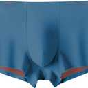 Arjen Kroos Men's Ice Silk Boxers Briefs Seamless Trunk Underwear with Pouch Double Sided Breathable Modal Underpant (XXL)