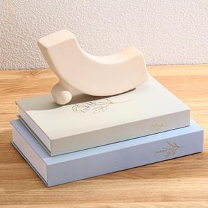 Set of 2 Decorative Books Boxes, Faux Books Stacked for Decoration for Coffee Tables Modern Home Bookshelves Decor, Fake Fashion Photo Storage Boxes(Baby Blue Beige)