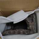 Resin Reptile Hideouts Cave Habitat Decor for Gecko Leopard Lizards Toad Turtle (B- Extra Large)