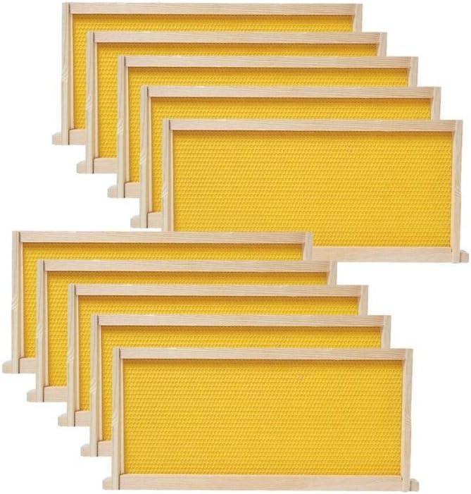 BeeCastle Medium Beehive Frames and Wax Foundations,10 Pack Honey Bee Frames with Wooden Bee Hive Frames and 100% Beeswax Coated Foundations, 6-1/4-Inch (Yellow)