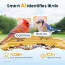 Smart Bird Feeder with Camera, 2.5K UHD Bird Feeder Camera Solar Powerd, Sensitive AI Identification, Instant Alerts Capture Video, IP66 Waterproof for Outdoor, Ideal Gift for Mom, Yellow
