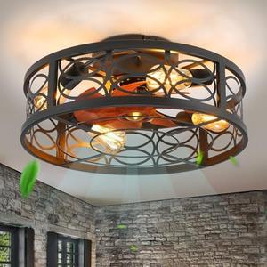 HUEOCZW 20" Caged Ceiling Fan with Light and Remote Bladeless Ceiling Fan 6 Speed Reversible with 4 Bulbs and Remote Control Low Profile Ceiling Fans with Lights for Bedroom, Dining Room