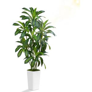 Dracaena Plant Artificial Tree 6Ft Tall Fake Tropical Floor Plants Potted (Real Touch) Artificial Silk Tree Leaf Faux Trees White Tall Planter for Home Office Living Room Indoor Outdoor Decor