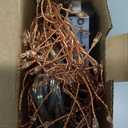 RESNICE Plug in Firecracker Lights 10FT Warm White Copper Wire Indoor Cluster Fairy Lights with Remote Timer for Bedroom, Living Room, Tree, Garden, Porch, Patio, Backyard, Christmas Tree (10FT 100 LED)