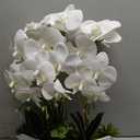 Briful Orchid Artificial Flowers 18in White Fake Orchid Silk Flowers with Ceramic Pot Faux Orchid Arrangement for Home Office Room Coffee Table Centerpiece Modern Decoration
