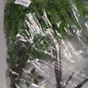 6pcs 36 Inch Artificial Plants Fake Greenery Branches for Vase, Faux Green Nandina Long Stems for Tall Vase, Fake Plants Spring Stems for Wedding Garden Office Home Dcor